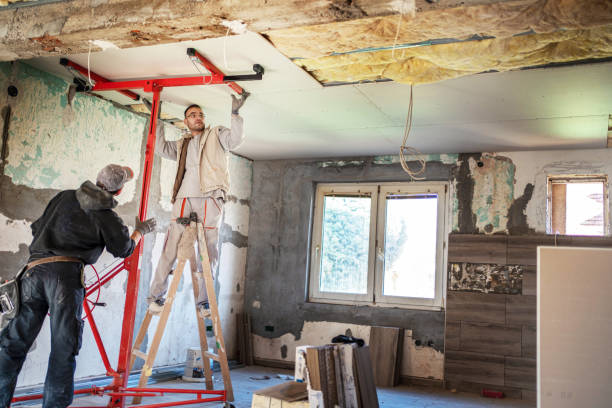 Best Commercial Insulation Services  in Ramseur, NC