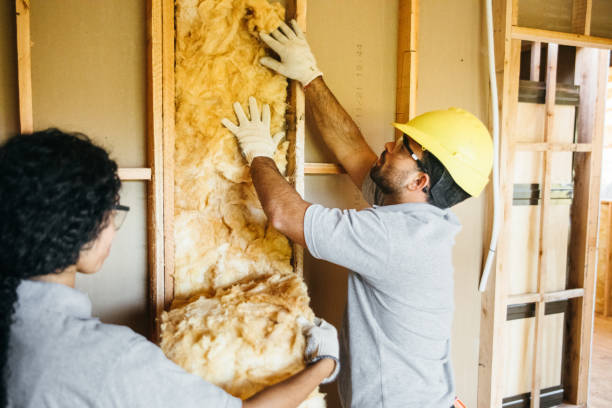 Best Soundproof Insulation  in Ramseur, NC